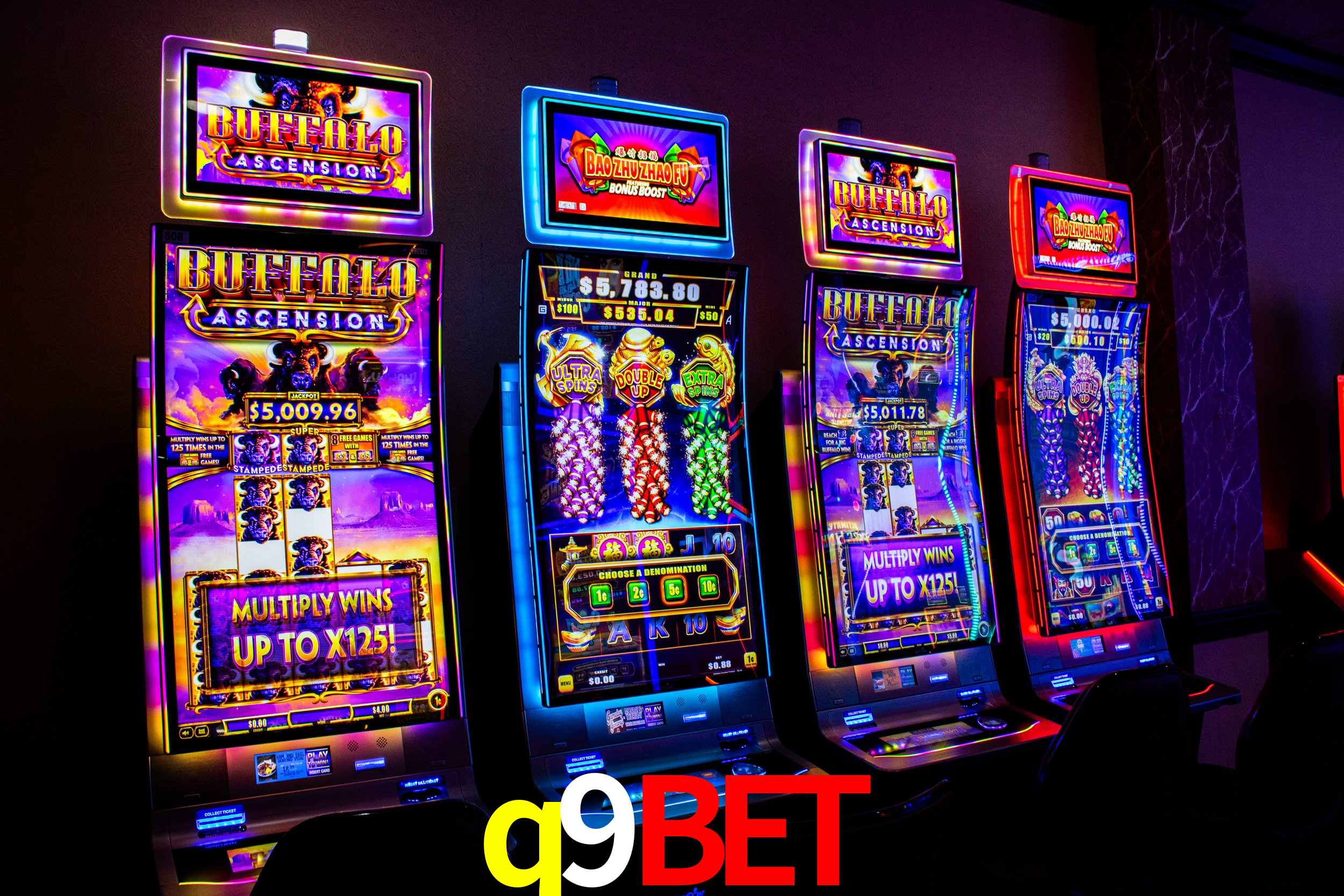 Bonus Features q9bet