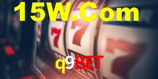VIP Casino q9bet